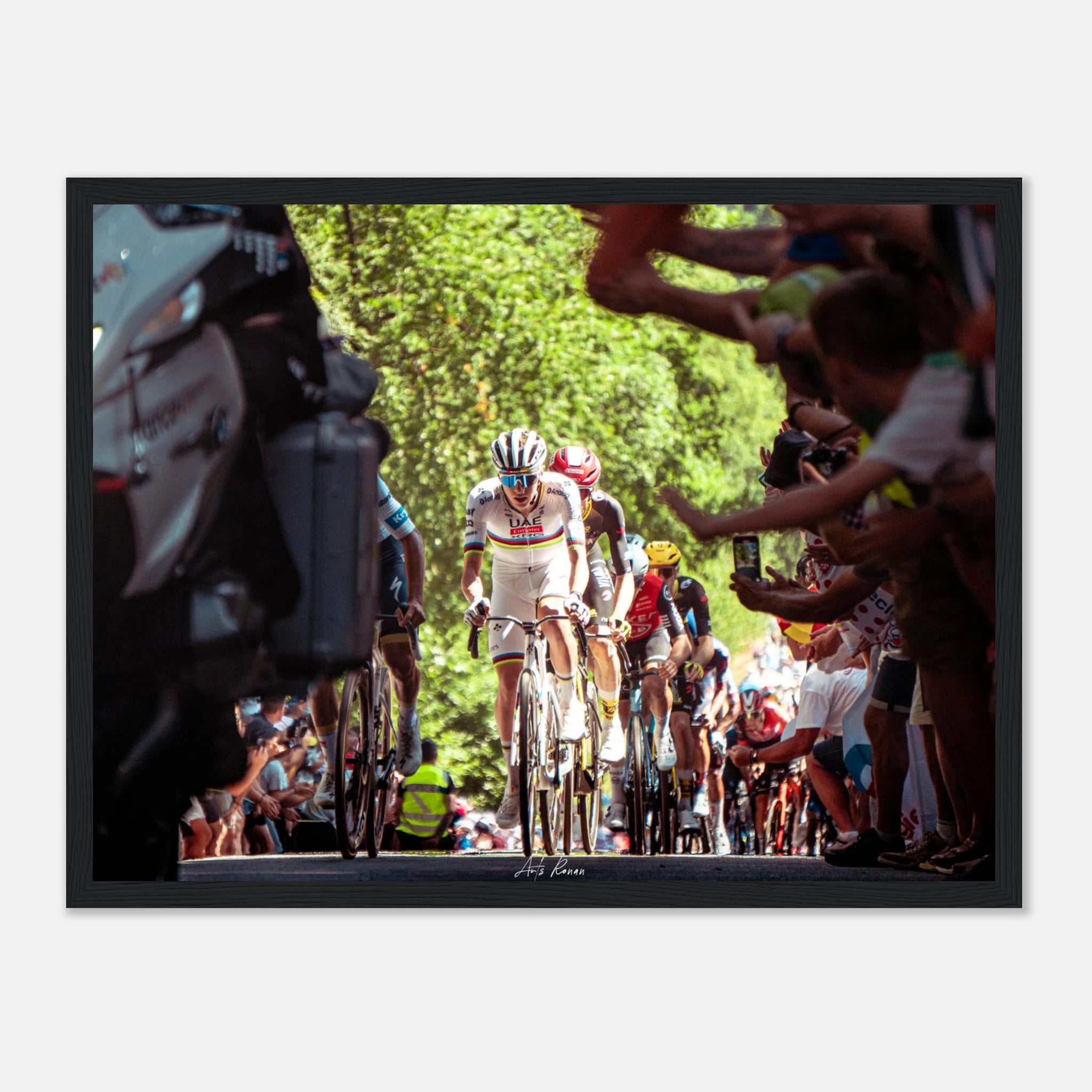 95330d4a-74d1-4448-9751-4af11dbd85ce